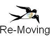 REMOVING